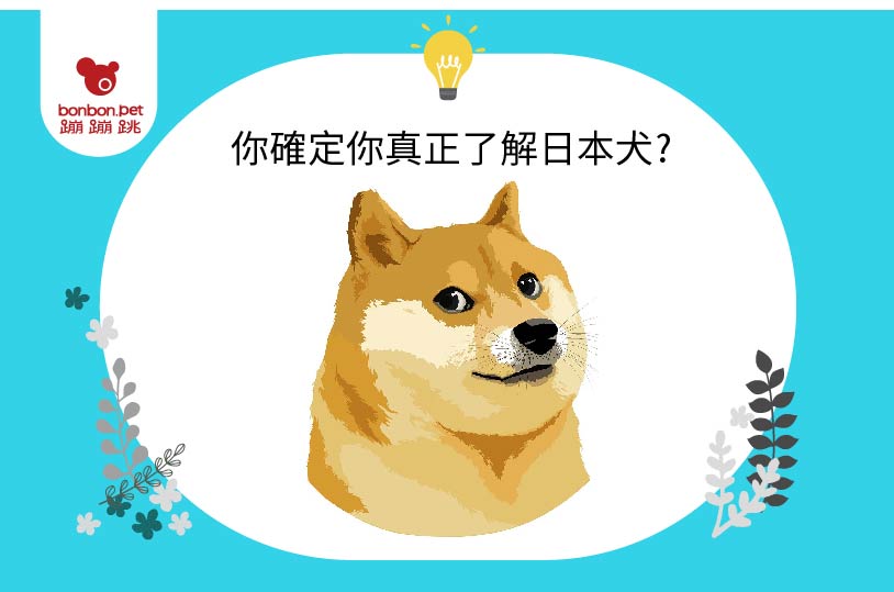 日本犬有哪些