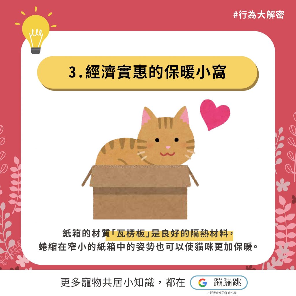 紙箱是貓咪的保暖小窩